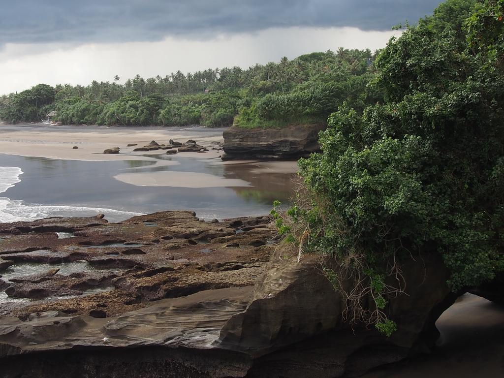 Gajah Mina Beach Resort Selemadeg  Eksteriør bilde