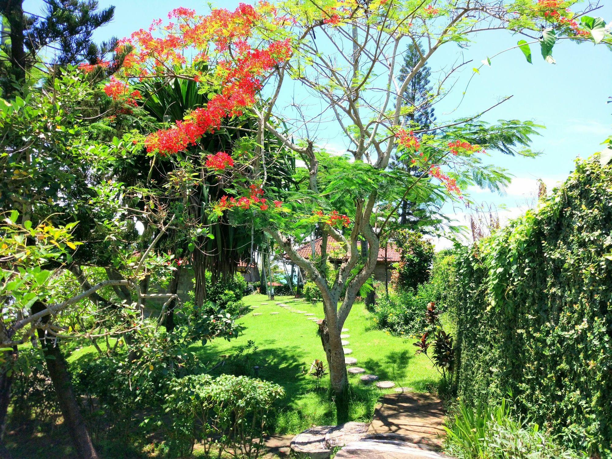 Gajah Mina Beach Resort Selemadeg  Eksteriør bilde